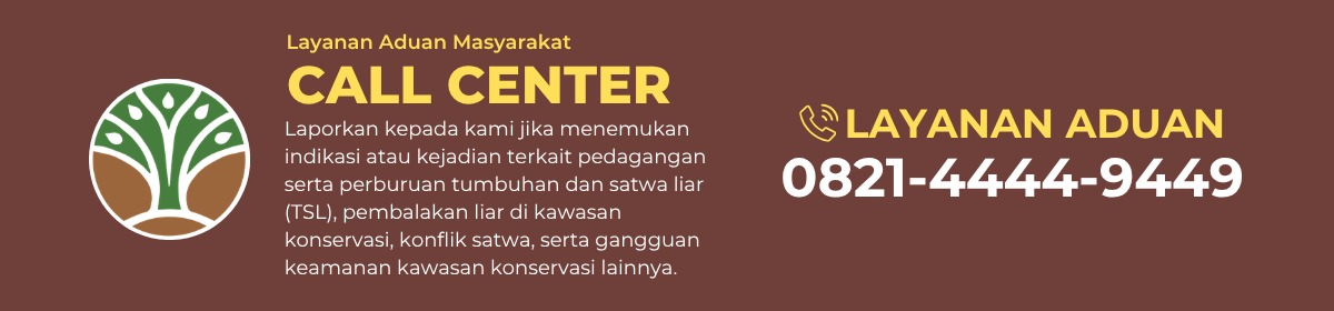 Layanan Aduan Atas